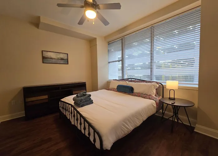 Amazing Condos Beautiful View 2 Blocks To French Quarter, Small Rooftop Pool, Gym, Seanger Theater, Super Dome, And Bourbon St