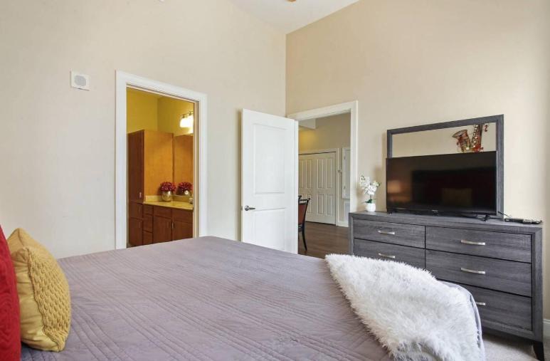 Aparthotel Amazing Beautiful View 2 Blocks To French Quarter, Small Rooftop Pool, Gym, Seanger Theater, Super Dome, And Bourbon St New Orleans